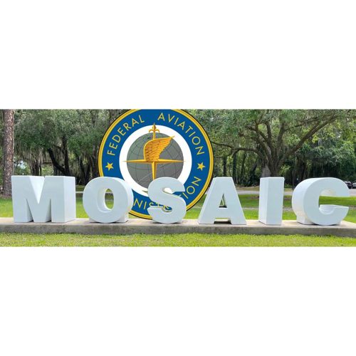 More information about "MOSAIC Proposed Rule"